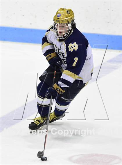 Thumbnail 2 in Darien vs. Notre Dame, Fairfield (CIAC DI Semifinal) photogallery.