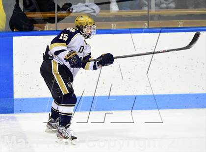 Thumbnail 1 in Darien vs. Notre Dame, Fairfield (CIAC DI Semifinal) photogallery.