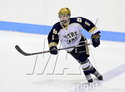 Thumbnail 1 in Darien vs. Notre Dame, Fairfield (CIAC DI Semifinal) photogallery.