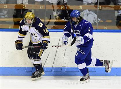 Thumbnail 1 in Darien vs. Notre Dame, Fairfield (CIAC DI Semifinal) photogallery.