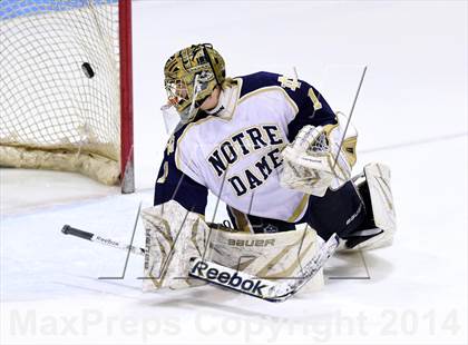 Thumbnail 1 in Darien vs. Notre Dame, Fairfield (CIAC DI Semifinal) photogallery.