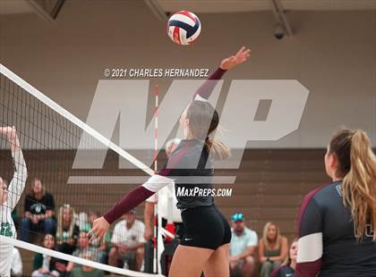 Thumbnail 1 in Brenham @ A&M Consolidated (A Teams) photogallery.