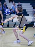 Photo from the gallery "North Marion @ Forest"