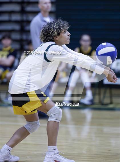 Thumbnail 3 in North Marion @ Forest photogallery.
