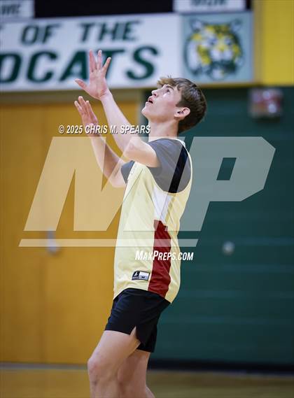 Thumbnail 3 in North Marion @ Forest photogallery.