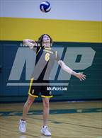 Photo from the gallery "North Marion @ Forest"