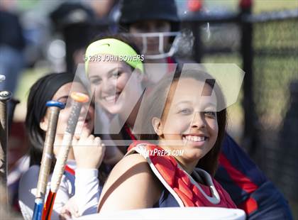 Thumbnail 2 in Franklin @ Dulaney photogallery.
