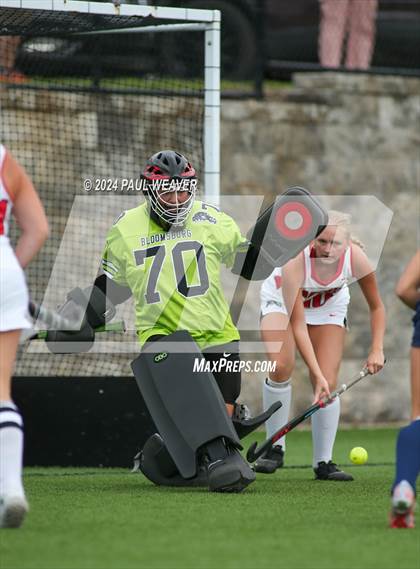 Thumbnail 1 in Mifflinburg @ Bloomsburg photogallery.