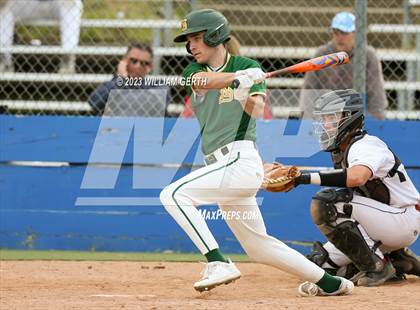 Thumbnail 1 in Redwood vs. San Marin photogallery.