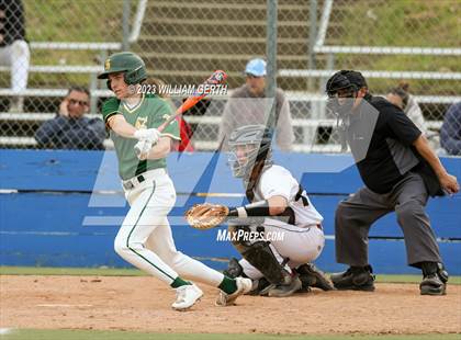 Thumbnail 2 in Redwood vs. San Marin photogallery.