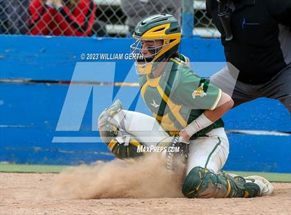 Thumbnail 1 in Redwood vs. San Marin photogallery.
