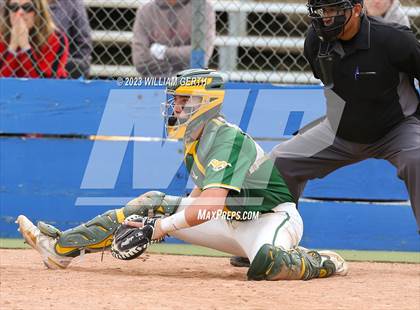 Thumbnail 1 in Redwood vs. San Marin photogallery.