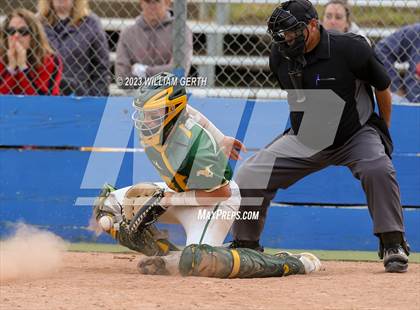 Thumbnail 1 in Redwood vs. San Marin photogallery.