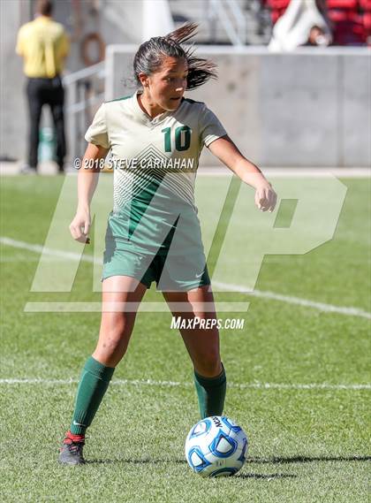 Thumbnail 2 in Snow Canyon vs. Orem (UHSAA 4A Final) photogallery.