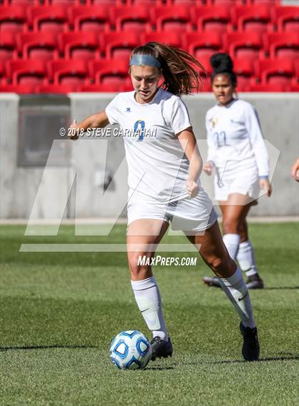 Thumbnail 1 in Snow Canyon vs. Orem (UHSAA 4A Final) photogallery.