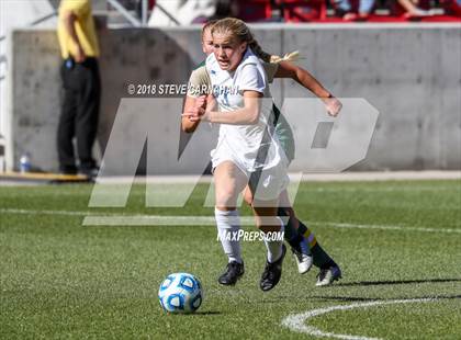 Thumbnail 1 in Snow Canyon vs. Orem (UHSAA 4A Final) photogallery.