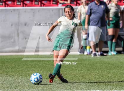 Thumbnail 1 in Snow Canyon vs. Orem (UHSAA 4A Final) photogallery.
