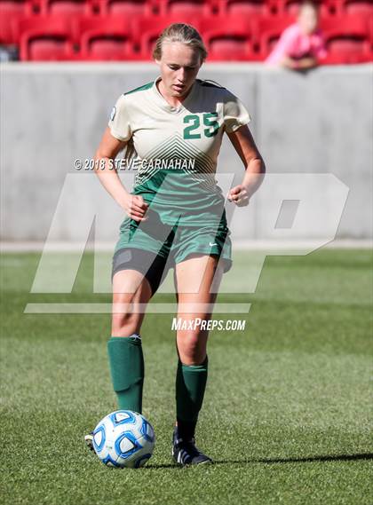 Thumbnail 1 in Snow Canyon vs. Orem (UHSAA 4A Final) photogallery.