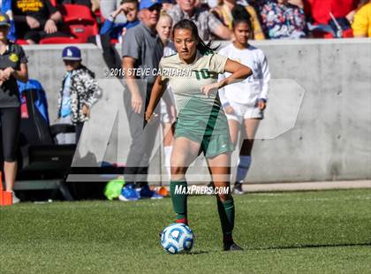 Thumbnail 2 in Snow Canyon vs. Orem (UHSAA 4A Final) photogallery.