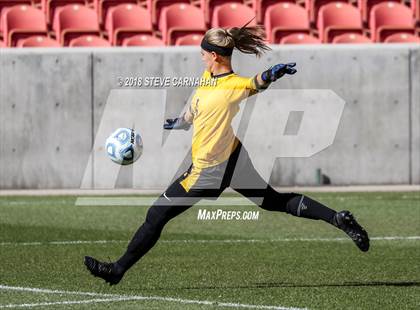 Thumbnail 1 in Snow Canyon vs. Orem (UHSAA 4A Final) photogallery.