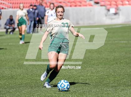 Thumbnail 1 in Snow Canyon vs. Orem (UHSAA 4A Final) photogallery.
