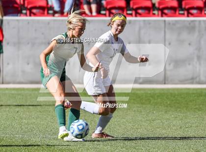 Thumbnail 1 in Snow Canyon vs. Orem (UHSAA 4A Final) photogallery.