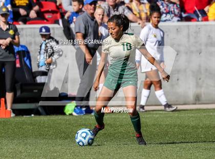 Thumbnail 1 in Snow Canyon vs. Orem (UHSAA 4A Final) photogallery.