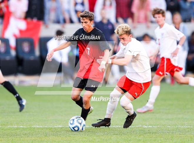 null - Photo 41