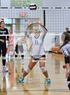 Photo from the gallery "Dixon @ Croatan"