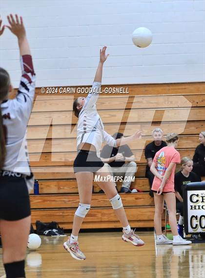 Thumbnail 2 in Dixon @ Croatan photogallery.