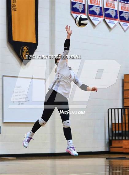 Thumbnail 1 in Dixon @ Croatan photogallery.
