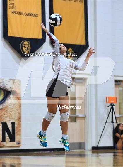 Thumbnail 1 in Dixon @ Croatan photogallery.