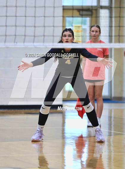Thumbnail 1 in Dixon @ Croatan photogallery.