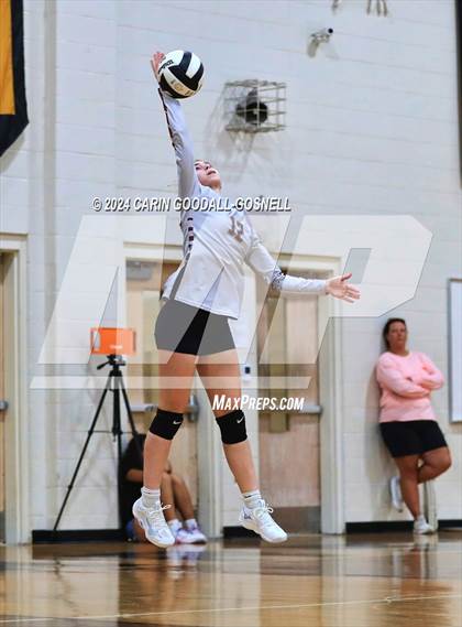 Thumbnail 2 in Dixon @ Croatan photogallery.