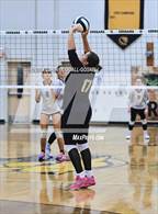 Photo from the gallery "Dixon @ Croatan"