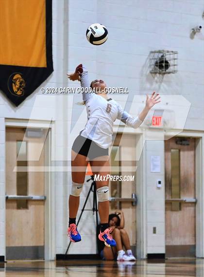 Thumbnail 1 in Dixon @ Croatan photogallery.
