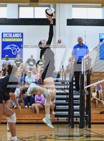 Thumbnail 1 in Dixon @ Croatan photogallery.