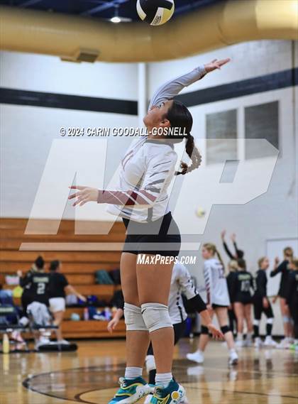 Thumbnail 2 in Dixon @ Croatan photogallery.