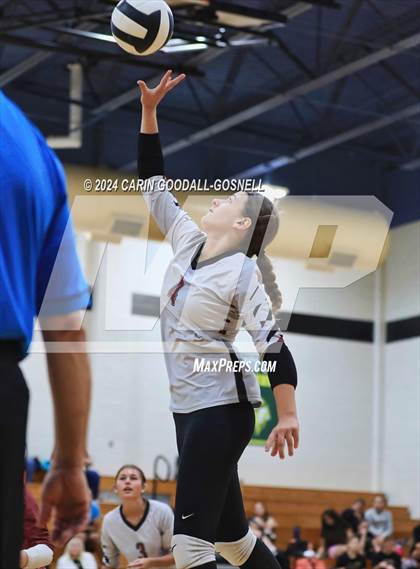 Thumbnail 2 in Dixon @ Croatan photogallery.
