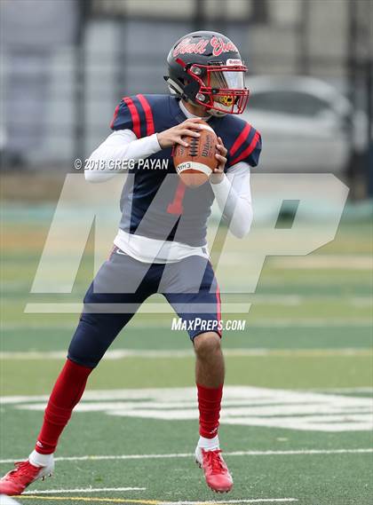 Thumbnail 1 in Canarsie @ Erasmus Hall photogallery.