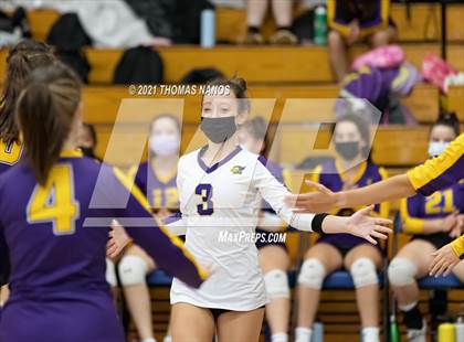 Thumbnail 3 in Ellington @ Lyman Memorial photogallery.