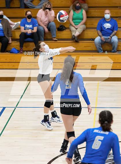 Thumbnail 3 in Ellington @ Lyman Memorial photogallery.