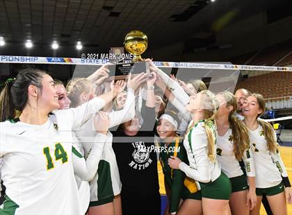 Thumbnail 3 in Horizon vs. Millennium (AIA 5A Final - Awards) photogallery.