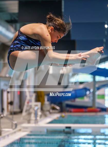 Thumbnail 2 in Allen @ Plano photogallery.