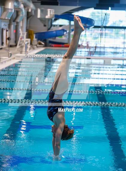 Thumbnail 2 in Allen @ Plano photogallery.