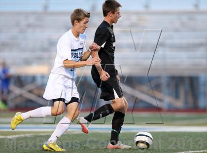 Thumbnail 3 in Conifer @ Valor Christian photogallery.