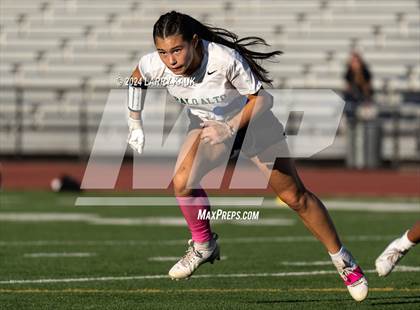 Thumbnail 1 in Palo Alto @ Milpitas photogallery.