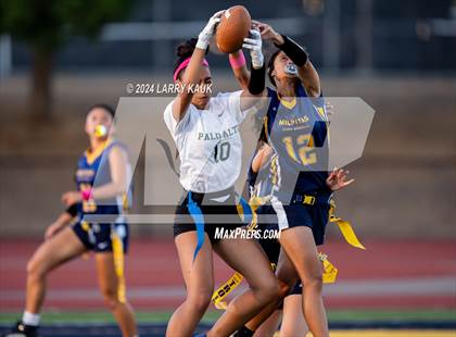 Thumbnail 1 in Palo Alto @ Milpitas photogallery.