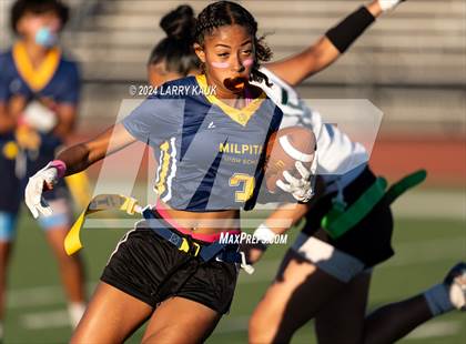 Thumbnail 3 in Palo Alto @ Milpitas photogallery.