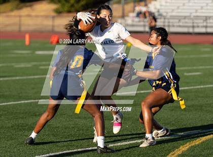 Thumbnail 2 in Palo Alto @ Milpitas photogallery.